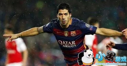 2019籭˹VSȷԤ ˭Ӯ/ȷֶ