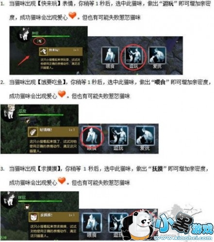 ��ˮ����λ��è����� ��ˮ��è������÷�������