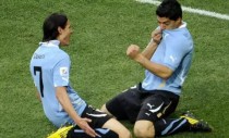 ������vs����ʤ���ȷֽ��Ԥ�� 2019���籭������vs����ʵ��ȫ�����