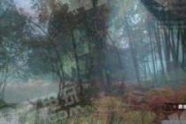 ��ˮ�������ļ��쳣��ô�� ��ˮ��nsh patcher.zip����ʧ�ܳɹ�����취