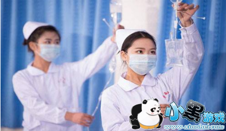 2019�����������Ƕ��� 2019�����ɼ�������Ԥ��ɼ���ѯ