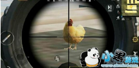 ���������̼�ս���ۻ�ץ��20ֻ�������� ���Ｆ��/������