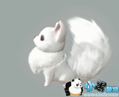 ��ˮ����ֻС���������� ��ֻС�������λ������