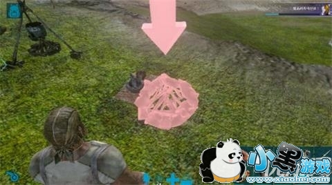 方舟生存进化手机版篝火怎么放置不了 方舟生存进化篝火放置方法 方舟生存进化手机版篝火怎么放置不了 方舟生存进化篝火放置方法