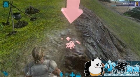 方舟生存进化手机版篝火怎么放置不了 方舟生存进化篝火放置方法 方舟生存进化手机版篝火怎么放置不了 方舟生存进化篝火放置方法