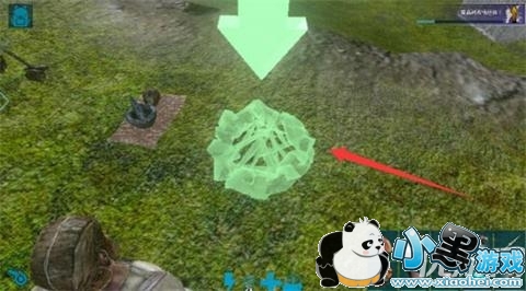 方舟生存进化手机版篝火怎么放置不了 方舟生存进化篝火放置方法 方舟生存进化手机版篝火怎么放置不了 方舟生存进化篝火放置方法