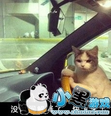 王者荣耀冠军杯国际赛总决赛门票12点正式开售 购票方式及地址 王者荣耀冠军杯国际赛总决赛门票12点正式开售 购票方式及地址