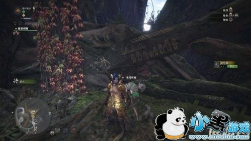 怪物猎人世界地图壁画在哪 怪物猎人世界地图壁画位置介绍 怪物猎人世界地图壁画在哪 怪物猎人世界地图壁画位置介绍