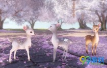 ��ˮ�������Ӣ�ۿ���ô��� ��ˮ�������Ӣ�ۿ���ȡ����