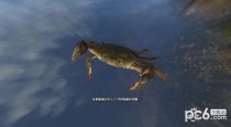 �Ž���̷3��з��������Ū �Ž���̷3��з������ô��