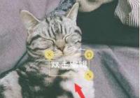 ���������ô��ˮӡ ��������ܼ�ˮӡ��