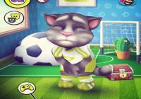 �ҵ���ķè����������Щ����