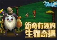 ��굺��˳��ë���� ��˳����ë���ĵ�?