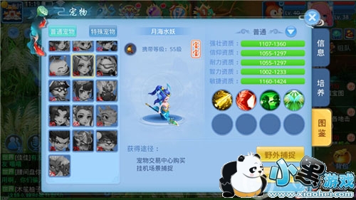 天书奇谈宠物培养手册