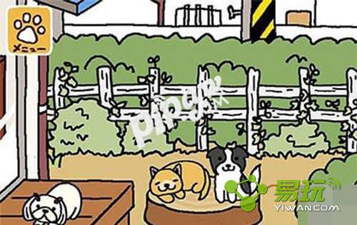 è���Ժ6��1������ÿ�հ�����ʲô��-����ָ��