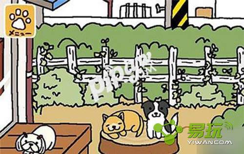 è���Ժ6��3��ÿ�հ�����ʲô��-����ָ��