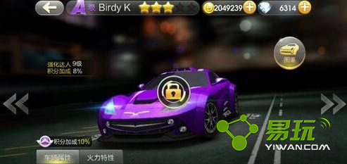 ����ɳ�BirdyK�������Ǯ-BirdyK���ֵ������-����ָ��