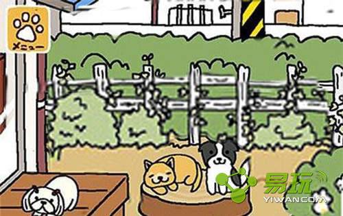 è���Ժ6��2������ÿ�հ�����ʲô��-����ָ��