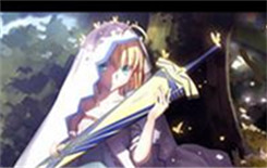 FGOFA�������߽����ù���