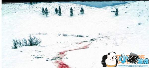 ��������䣡���������������ѩ�ص�ͼ