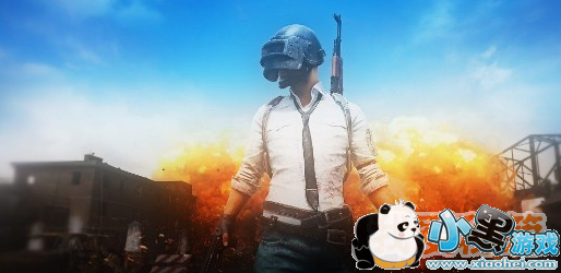 ���������Ż�