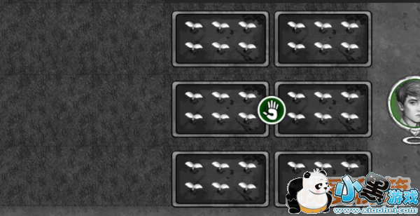 ����ȥ������ô��ȡ_����ȥ��ô��ֲ����