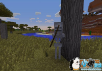 ҵа SteveһĩӰ[ͼ]