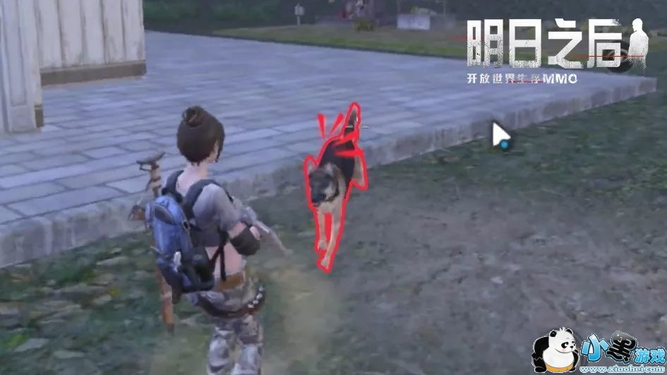 明日之后狗有什么用?