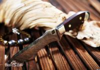 �ս���2��������������ʿ�ﵶ��ô����������[ͼ]