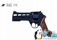 ���������̼�ս��R45��ǹ����[ͼ]