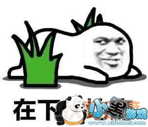 绝地求生刺激战场打野LYB联合打法