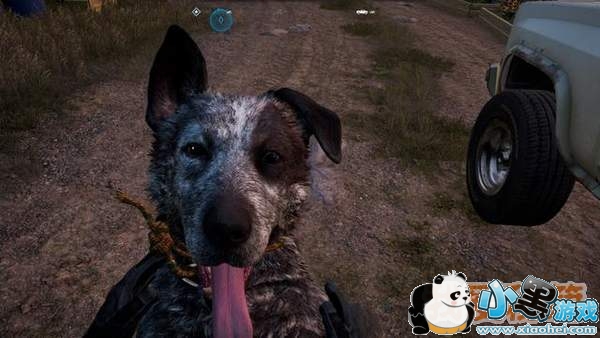 孤岛惊魂5显卡测试数据分享