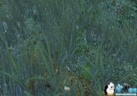 ��Ұ�ж��Լ��Ĵ����[ͼ]