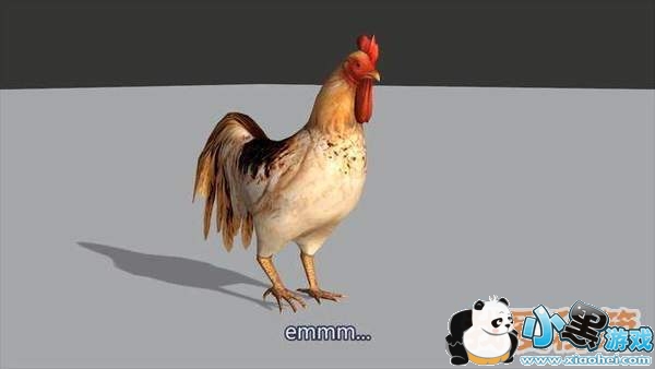 绝地求生NPC神鸡有什么用?怎么获得?