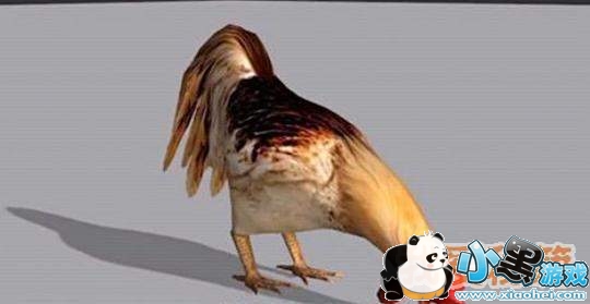 绝地求生NPC神鸡有什么用?怎么获得?