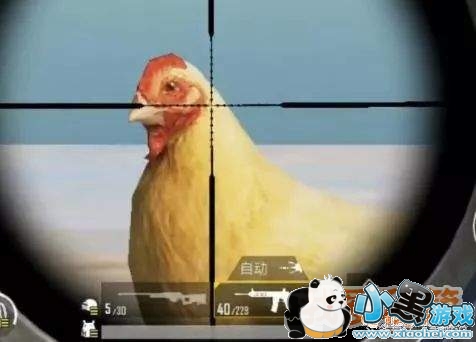 刺激战场出生岛隐藏的吉利服在哪里_位置和寻找方法