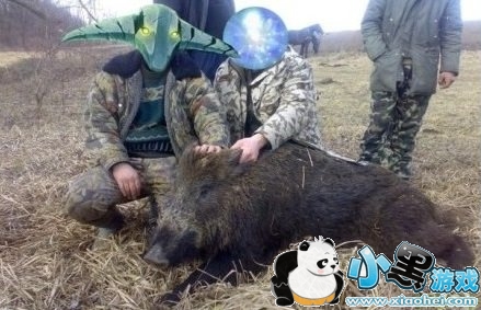 锤猪剑客是什么意思_锤猪剑客是什么梗