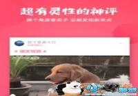 ���ں�����TV������� ���ں�����TV APP���ص�ַ����[ͼ]