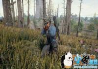 ������������ҷ�������ʲô ��ô��?[ͼ]