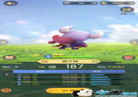 һ����׽������֮·��ʲô����