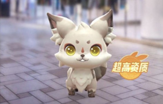 һ����׽��С��������ࣿС������Ѽ�λ�÷ֲ�[��Ƶ][��ͼ]