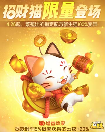 һ����׽����װè��ôʹ��