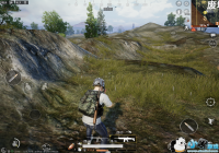 ��ƽ��Ӣ���ν���ֵ��ô�ָ�