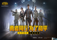 ��ƽ��Ӣ��������Щ������Ч����ѡ��