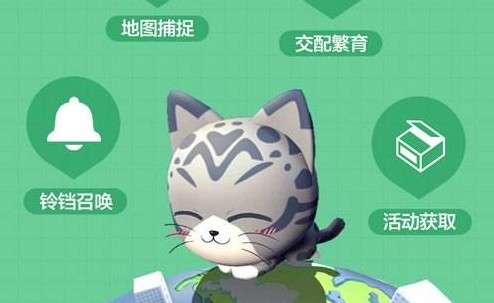 һ����׽��ר��è��ô������ר��è����ֳ����[��Ƶ][��ͼ]