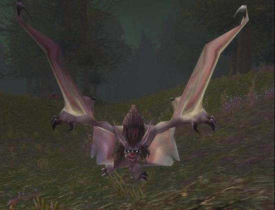 ħ绳ɷ𱦱ץ ħ绳ɷ淨