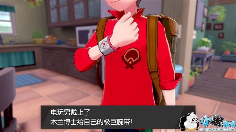 精灵宝可梦剑盾