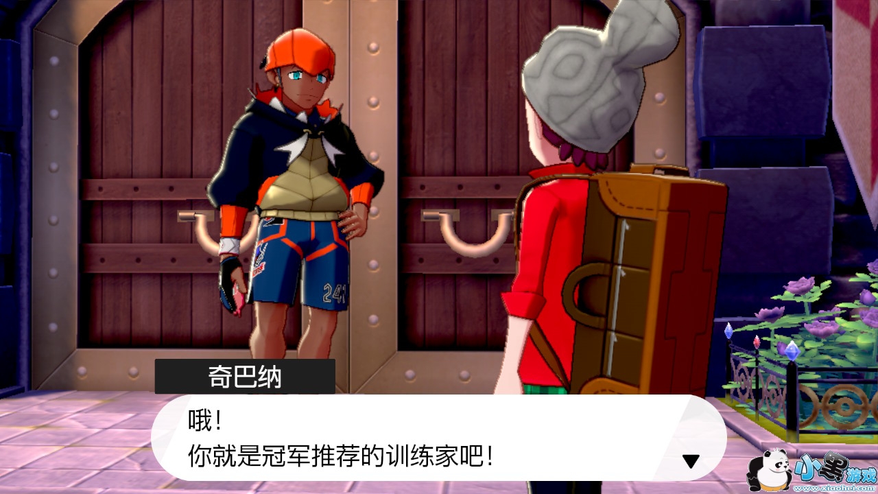 精灵宝可梦剑盾