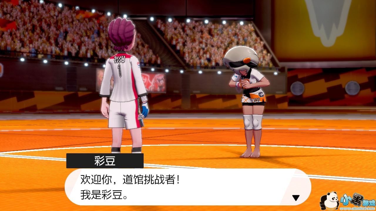 精灵宝可梦剑盾