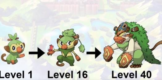 ���鱦���ν��������� ���鱦���ν����淨����